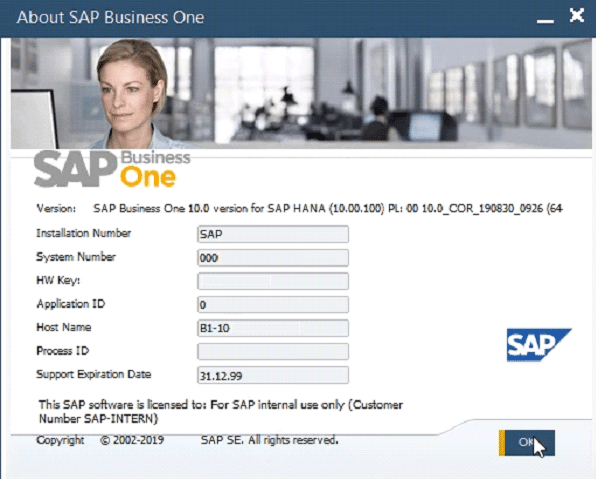 SAP Business One Features