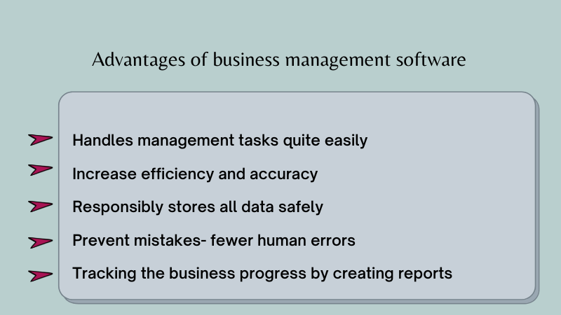 Advantages of Business Software