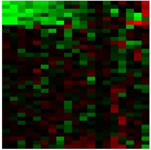 heat map data visualization