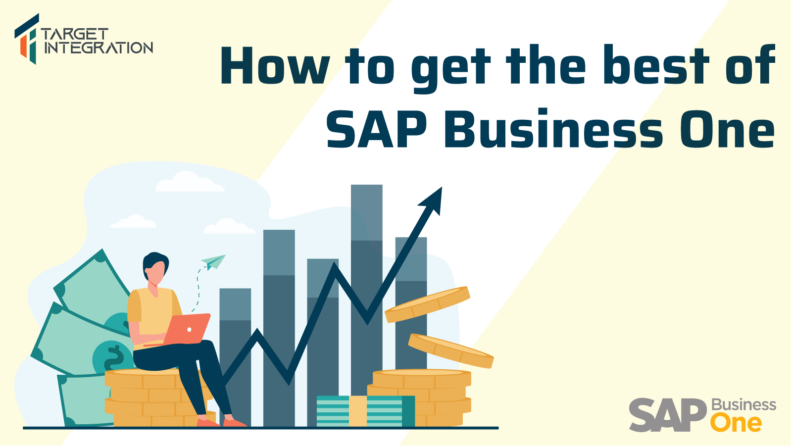 How to get the best of SAP Business One ERP